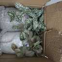 Hollyone Fake Plants 2 Packs Artificial Plants Indoor Faux Plants with White Plastic Pot Small Fake Potted Plant for Home Aesthetic Living Room Bathroom Desk Shelf Office Decor