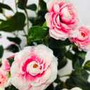 Kiko Artificial Flower Rose Tree -35" (90cm) Tall 19 Heads Fake Floor Flower with Plastic Pot for Office, Living Room, Dinner Room, Shopping mall, and Home Decoration for Indoors