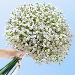 Babys Breath Artificial Flowers,12 Pcs Baby Breath Flowers Artificial Bulk, Real Touch Babys Breath Babies Breath Long Stems, Fake White Gypsophila For Bonquet Vase Wedding Decor Flower Arrangement, White 