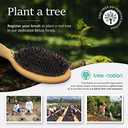 Belula Boar Bristle Hair Brush - Hair Brushes for Women & Mens Hair Brush, Detangler Brush, Hairbrush, Detangling Brush for Long, Curly or Any Type of Hair.