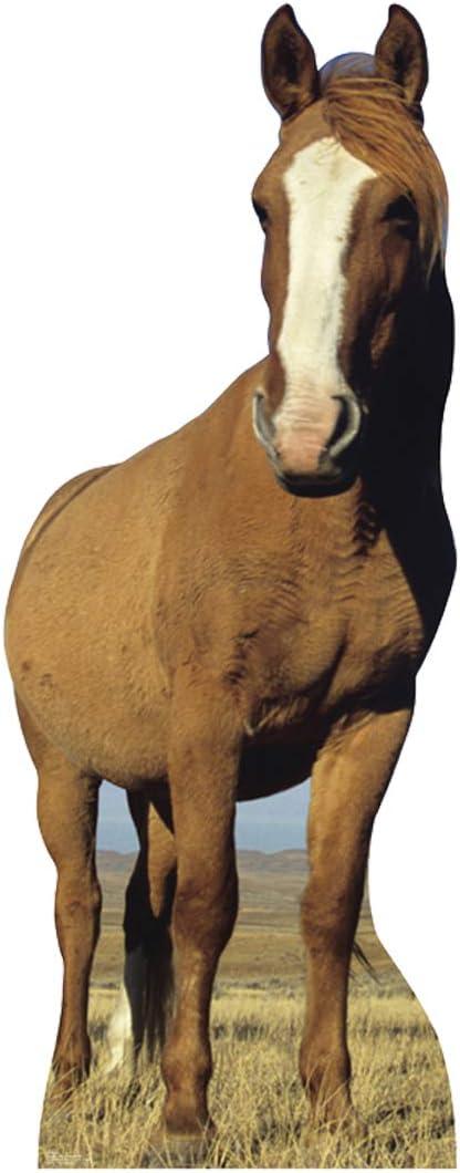 Cardboard People Horse Life Size Cardboard Cutout Standup, One Size