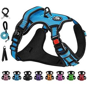 NESTROAD No Pull Dog Vest Harness with Leash, Adjustable Reflective Oxford Pet Harness with Easy Control Handle for Small Dogs, Blue S