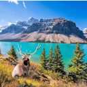 Canadian Rocky Mountain Lake Puzzles for Adults 1000 Pieces, Impossible Hard Difficult Challenging Jigsaw