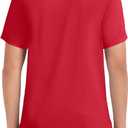 Izod Mens Short Sleeve Performance Polo Shirt (Red, L)