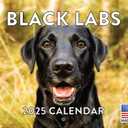 Black Lab Calendar 2025 Labrador Monthly Wall Calendar 12 Month | American Made In The USA