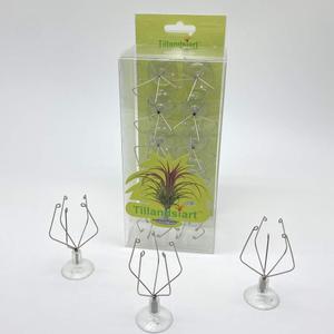10 Pack Vertical Air Plant Holder (Suction Cup, Stainless Steel Tillandsia Air Plant Planter) A Unique Set of Air Plant Containers for Creating Tillandsia Art Display on Window. - Large