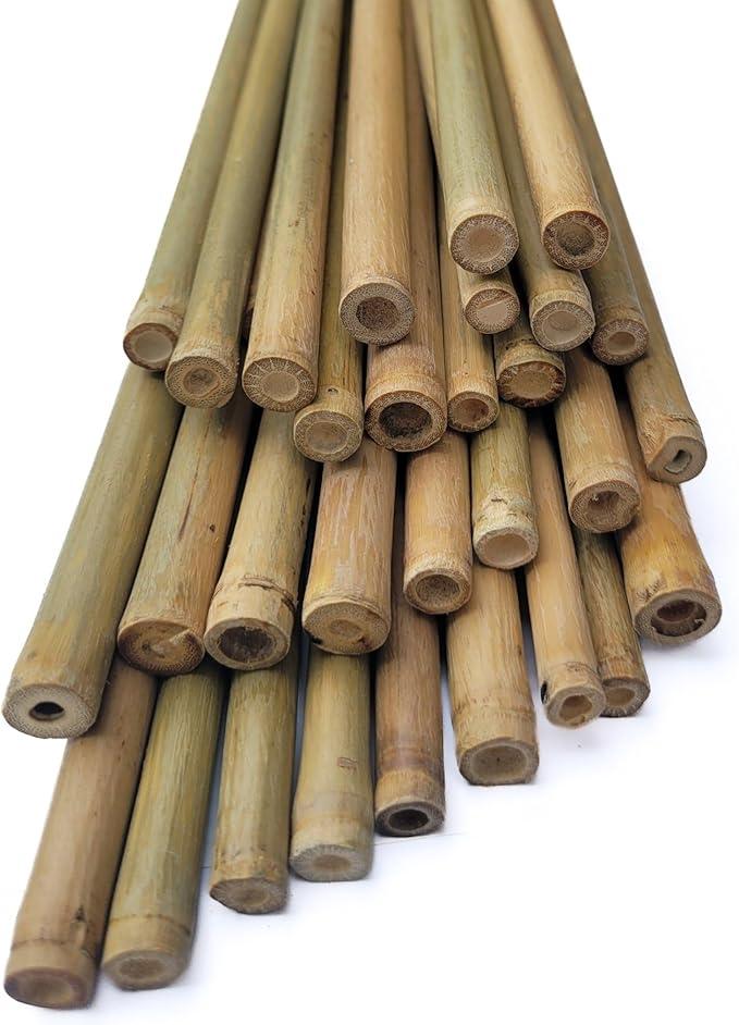 LJAAJSUV 30 Pcs - 2ft Plant Stakes Natural Garden Bamboo Sticks for Indoor and Outdoor Plants, Plant Support Stakes for Tomatoes, Beans, Potted Plants.