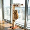 Sintuff Cat Window Perch with Scratching Post Climbing Tree Hammock Mounted with Suction Cups 46 Inch Tall Adjustable Narrow Cat Tree Climbing Pole for Playing Sleeping Watching Birds(Square)