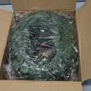 Jutom 100 Ft 0.98 Inch Christmas Miniature Artificial Pine Garlands Mini Pine Greenery Roping Garlands Mini Thin Wired Stems for Christmas Crafts Holiday Outdoor Decor (Green)