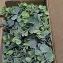 Dahey Fake Eucalyptus Plants Indoor for Farmhouse Home Decor Artificial Faux Plants in Rustic Rectangular Pots Table Centerpiece for Bathroom Office Living Room Shelf Laundry Decor, 7" L x 4" H