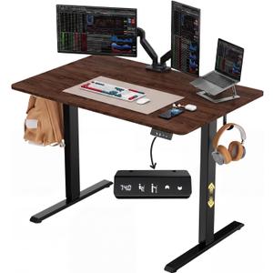 Electric Standing Desk 48" x 24", Height Adjustable 28"-46", Sit Stand Desk with Memory Presets, Smooth & Quiet Motor, Reinforced Frame, Easy Assembly, Ergonomic Home Office Desk