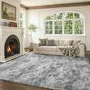 6x9 Ft Large Shag Rugs for Living Room Decor, Tie-Dyed Ultra Soft Fluffy Furry Area Rugs for Bedroom Indoor Floor, Aesthetic Carpet for Kids Home (Grey)