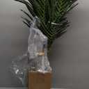 Nearly Natural 4ft Golden Cane Palm Artificial Tree