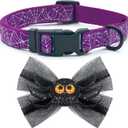 azuza Halloween Dog Collars with Bow Cute Sequined Spider Purple Dog Collar with Lace Bow tie Gifts on Halloween for Small Dogs (S - Neck:11-16 inch)