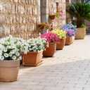 6 Bundles Artificial Morning Glory Fake Boxwood Shrubs UV Resistant No Fade Faux Greenery Plastic Petunia for Home Garden Hanging Planter Indoor Outdoor Porch Patio Wedding Decoration(White)