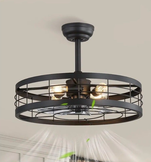 22 inch Black Caged Ceiling Fan with Light, Bladeless Industrial Ceiling Fan with Remote, Farmhouse Fan Lights Ceiling Fixtures for Kitchen, Bedroom, Outdoor (6 Speed, Timing) - Black