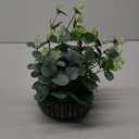 Artificial Plants Potted Real Looking Small Faux Plant with Rustic Black Cement Planter for Kitchen Office Desk Bookshelf Decor (Eucalyptus Plant)