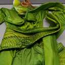 Seasons Child Praying Mantis Costume (M(8-10))