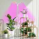 KINGPLUS Grow Lights with Stand, Double Head, Full Spectrum LED Grow Light for Indoor Plants, 240 Leds, 4 Dimmable Levels, Timer 4/8/12h, 12-60inches Height Adjustable, 36w, Ideal for Desk Small Plant