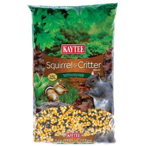 Squirrel and Critter Food Corn,Striped Sunflower 10 Lbs, Best Before:11/FEB/26