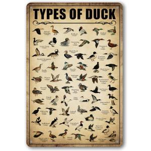 Type Of Duck Tin Sign Duck Hunting Decor Mallard Ducks Knowledge Metal Signs Vintage Duck Hunting Decorations For Home Kitchen Bathroom Duck Wall Art Decor Poster 8 x 12 Inch (Duck)