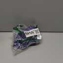 Disney - Villains Bad Girls T-Shirt, Medium