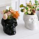2 Pcs Skull Planter Pots, Skeleton Vase/Bowl for Flowers, Succulent, Cactus and Candy, for Gothic Home Office Desk, Halloween and Day of The Dead Decorations - White and Black