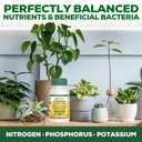 Organic Liquid Plant Food for Indoor Plants & Gardens, Natural NPK Fertilizer w/Beneficial Microbes, Rapid Results, Vegan, Best Value Super Concentrate, Smart Grower, Makes 160 Gallons (32 Fl Oz)