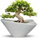 Bonsai Pots 13 Inch - Ceramic Succulent Pots with Drainage Hole Decorative Plant Pot Indoor Large Outdoor Planter Modern Flower Pot for Home Garden Office Room Decor Gray, 13.4 Inch