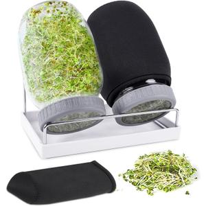 Seed Sprouting Jar Kit with 2 Wide Mouth Mason Jars Bean Sprouts Growing Kit Microgreens Growing Jar with Mesh Screen Lids Sprouter Sprouts Maker for Growing Broccoli, Alfalfa, Mung Bean