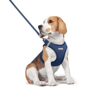 Rabbitgoo Dog Harness, Step in Soft Light Puppy Vest, Breathable Mesh Pet Harness, Reflective for Safe Outdoor Walking, Navy Blue, L (Chest: 18.2 - 20.5")