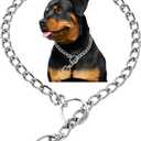 Silver Dog Chain,Metal Slip Link P Chain Training Heavy Duty Male Boys Martingale Collar Female Girls Puppy Collars for XXS XS Small Medium Large Big Breed, (L(Neck Max 20inch)D3.5mm)