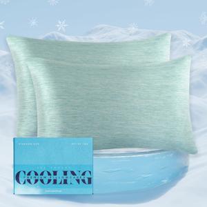 Elegant Comfort Premium Cooling Pillowcase Set for Hot Sleepers, 2-Piece Luxury Arc-Chill Pillowcases, Breathable Soft and Durable, Cold Reversible Pillow Covers for Hair and Skin, Queen, Mint Green