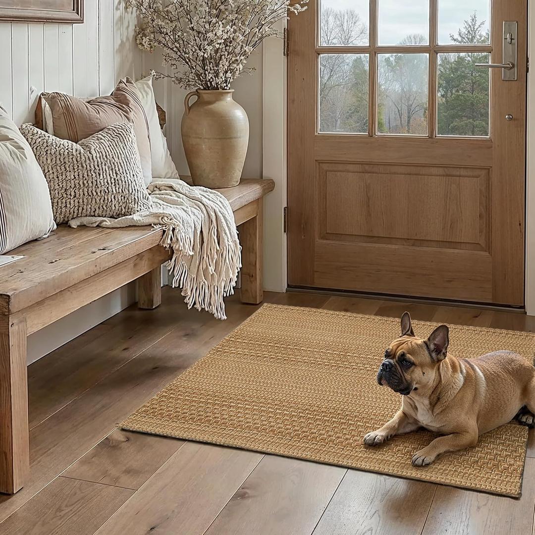 2x3 Textured Washable Entry Rug, Natural Woven Low-Profile Door Mat with Non-Slip TPR Backing, Light Light Brown, for Entryway, Kitchen, Laundry Room