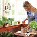 Planters' Choice 9 Herb Indoor Window Garden Kit - Mother's Day Gifts - House Plants Seeds - Best Unique Gift Ideas for Women, Mom, Friend, Her, Birthday, Housewarming, Mother - Live Plant Starter