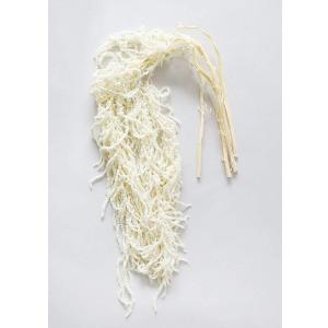 Generic Preserved Amaranthus Hanging Flowers, 32-40 inch, 4-6 Stems, Wedding, Event and Home Decor, White