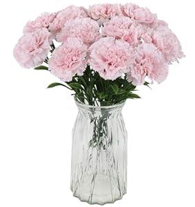 Fqueelvys 16PCS Pink Carnations Artificial Flowers 14.8'' Fake Carnation Silk Flowers with Single Stem Faux Carnations Flowers for Home Table Centerpiece Wedding Decor Floral Arrangements (Light Pink)