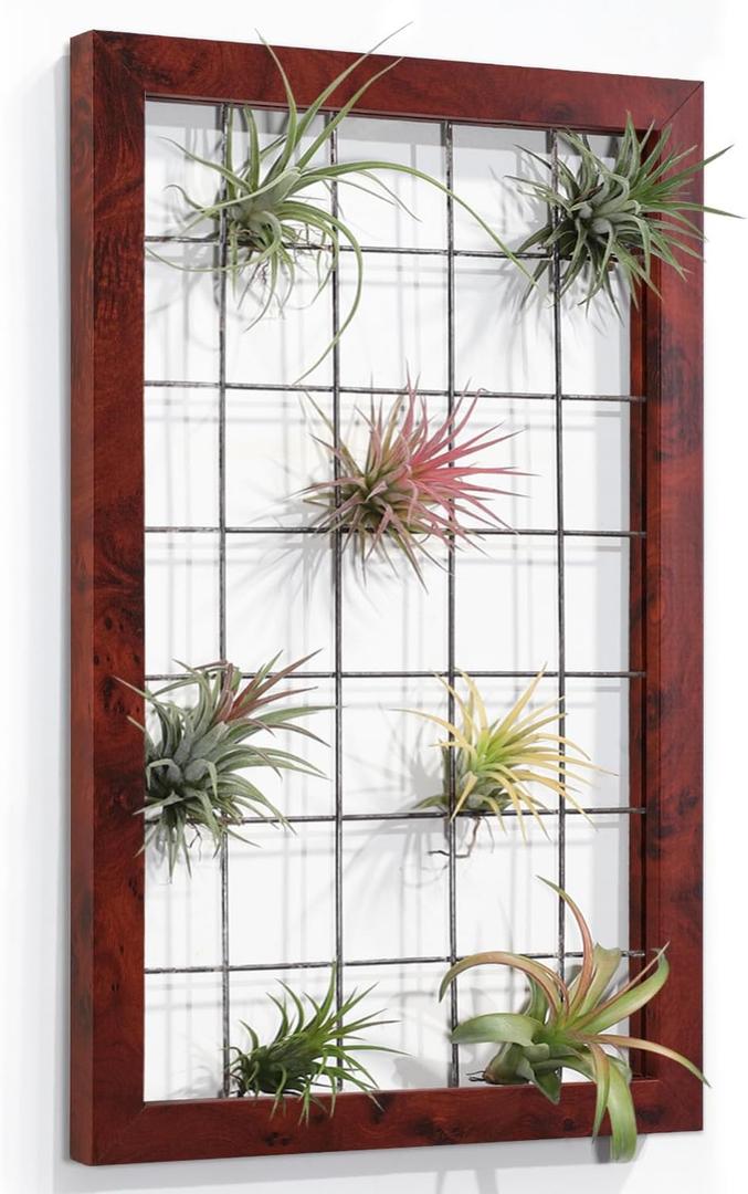 AOAOPQ Red Hanging Air Plant Holder Mesh Frame Wall Mounted for House Plants Succulent Office House Patio Garden Balcony