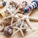 24 PCS Starfish, Mixed Starfish 2" to 3" and 3" to 4" Natural Seashells Starfish White Starfish Ornaments Perfect for Wedding Beach Theme Party Home Decorations, DIY Crafts, Fish Tank