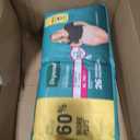 Depend Fresh Protection Adult Diapers, Incontinence & Postpartum Bladder Leak Underwear for Women, Disposable, Maximum, Extra-Large, Blush, 26 Count