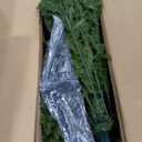 National Tree Company 12 ft Unlit Dunhill Fir Artificial Full Christmas Tree, 7,794 Tips, Includes Stand, Green