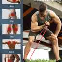 Resistance Bands for Working Out,5-Level Elastic Pull Up Assistance Bands Set for Men & Women,Exercise Bands for Home Workouts,Fitness,Training & Physical Therapy