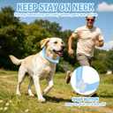 SCENEREAL 2 Pack Dog Cooling Collar Bandanas, Instant Chill Out Pet Neck Wraps for Hot Weather Summer, Heat Relief Prevent Sunstroke Essentials for Small Medium Large Dogs, Blue Footprint&Lake Green M