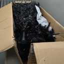 7FT PreLit Black Christmas Tree with 450 Lights, Artificial Fake Christmas Tree with 1916 PE&PVC Branch Tips, Halloween and Xmas Tree for Holiday Decorations, Metal Stand and Hinged Branches