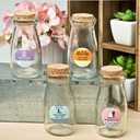 Perfectly plain collection Vintage Glass milk bottle with round cork top 6PCS