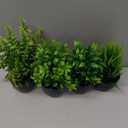 Der Rose Fake Plants 4 Packs Artificial Plants Small Faux Plants Black Bathroom Accessories for Halloween Bathroom Home Kitchen Coffee Table Office Desk Decor Indoor (Green)