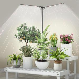 bodkar Plant Grow Lights for Indoor Plants Full Spectrum with 3/6/9H Timer & Dimming, Slim Plant Lights for Indoor Growing with 6000K White Red LEDs for Various Plants