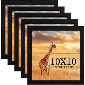 10 x10 Picture Frame Set of 5, Black Wooden Frame 10 x10 Square Wall Gallery Poster Photo frame with Durable Shatter Resistant Plexiglass for Wall Hanging best gift