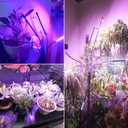 Wolezek Grow Lights for Indoor Plants, 100 LEDs Full Spectrum Plant Lights for Indoor Growing with Adjustable Stand, 5-Heads Grow Lamp with Auto 6/12/16H Timer, 3 Light Modes, 5 Levels Dimmable