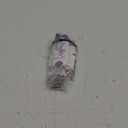 hello Deodorant Variety Pack, Aluminum Free Deodorant for Women and Men with Shea Butter, Lavender Vanilla, Sweet Coconut, Unicorn, Baking Soda Free, 3 x 2.6 oz Sticks (2.6 Ounce (Pack of 3))